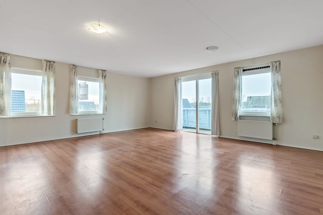 Photo 2 of Cypergras 113