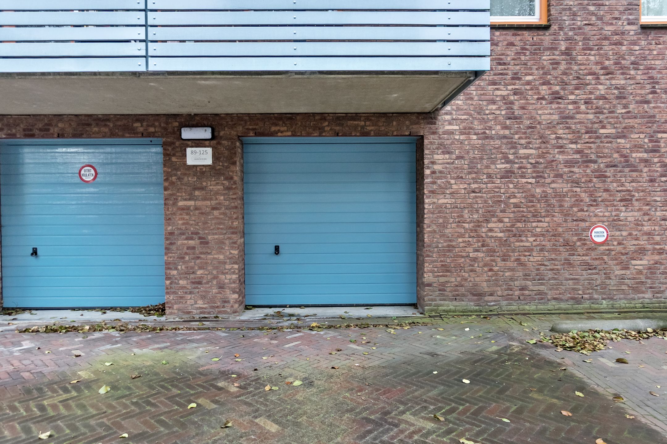 Photo 3 of Cypergras 113