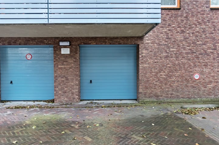 Foto 3 van Cypergras 113