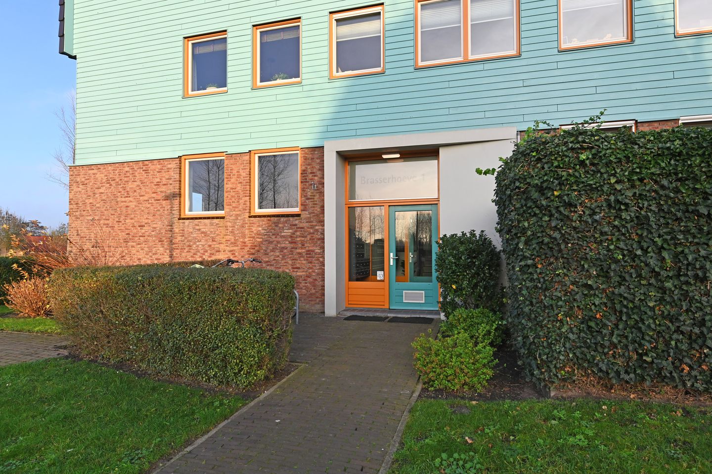 Photo 4 of Cypergras 113