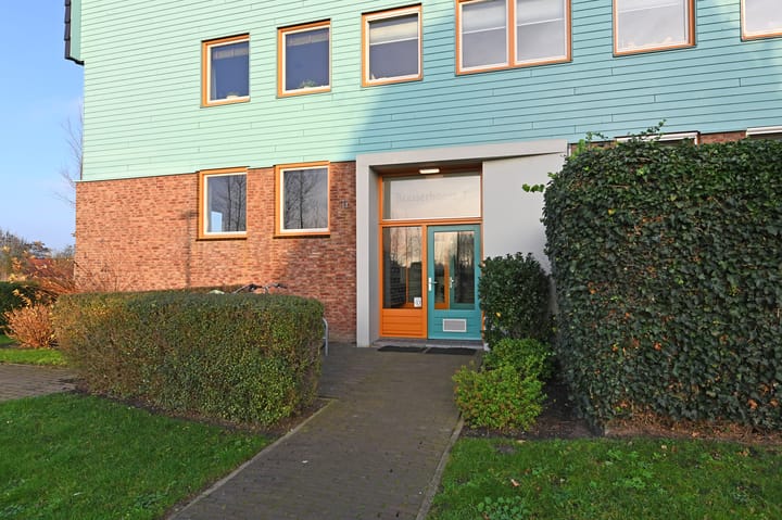 Foto 4 van Cypergras 113