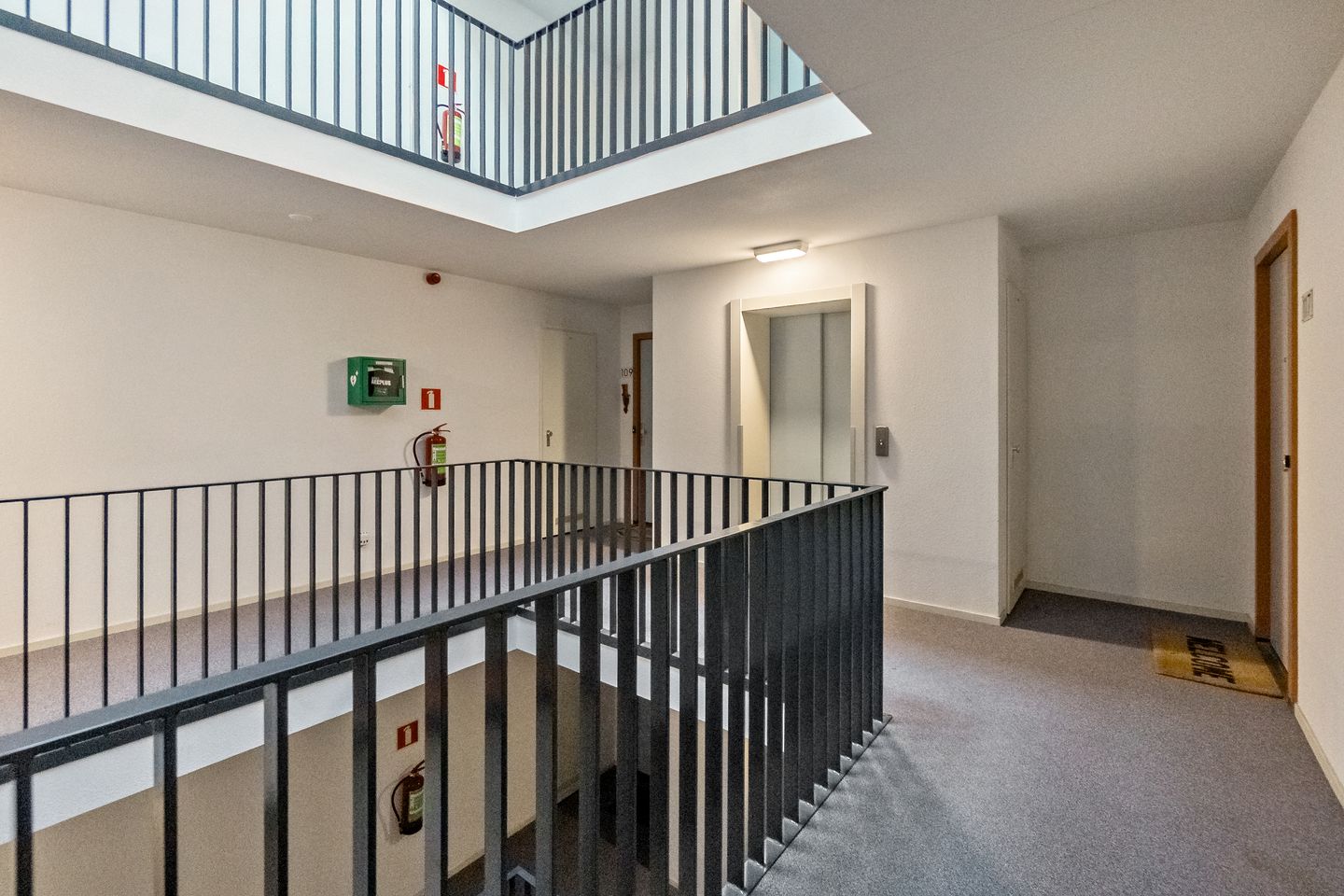 Photo 5 of Cypergras 113