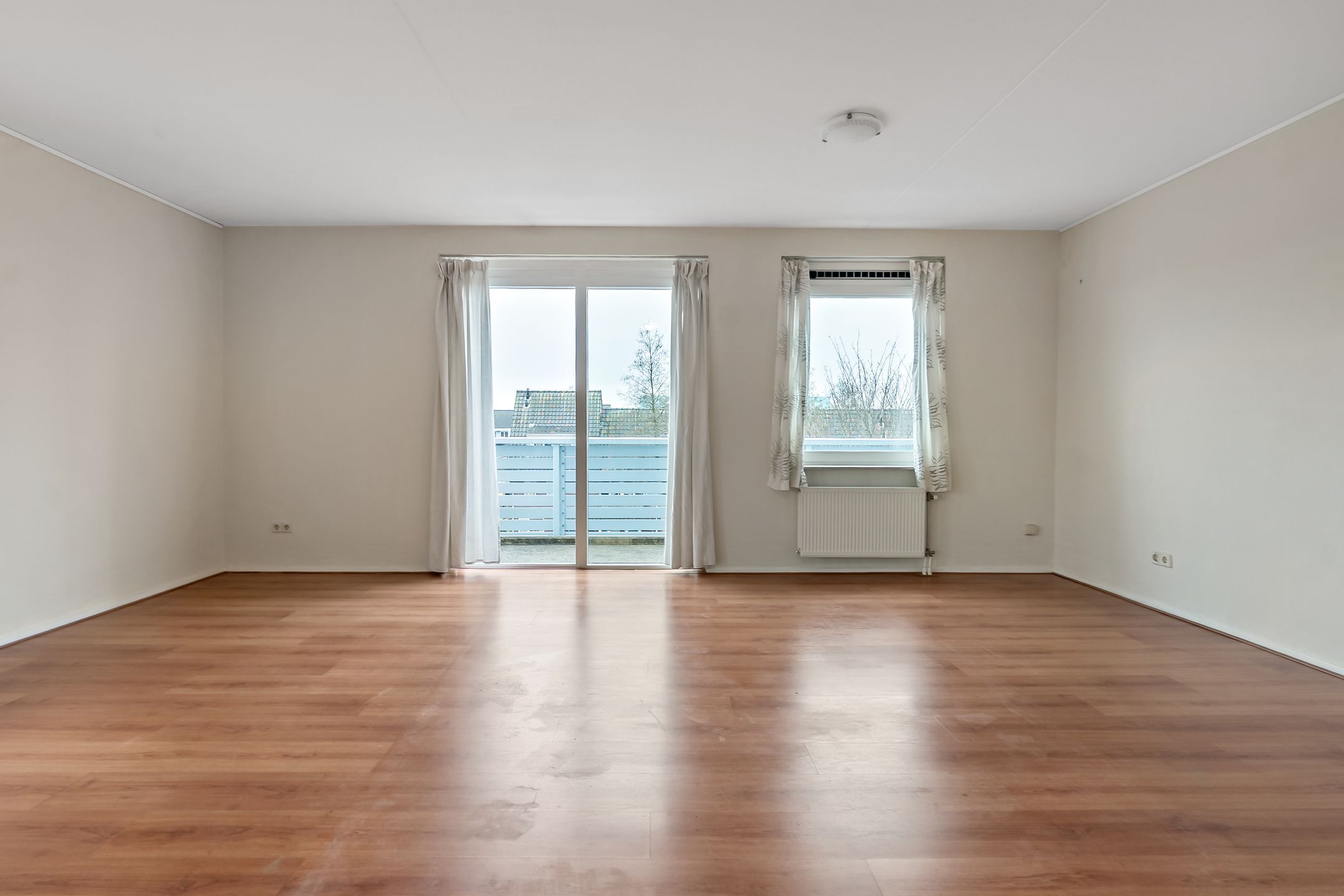 Photo 12 of Cypergras 113