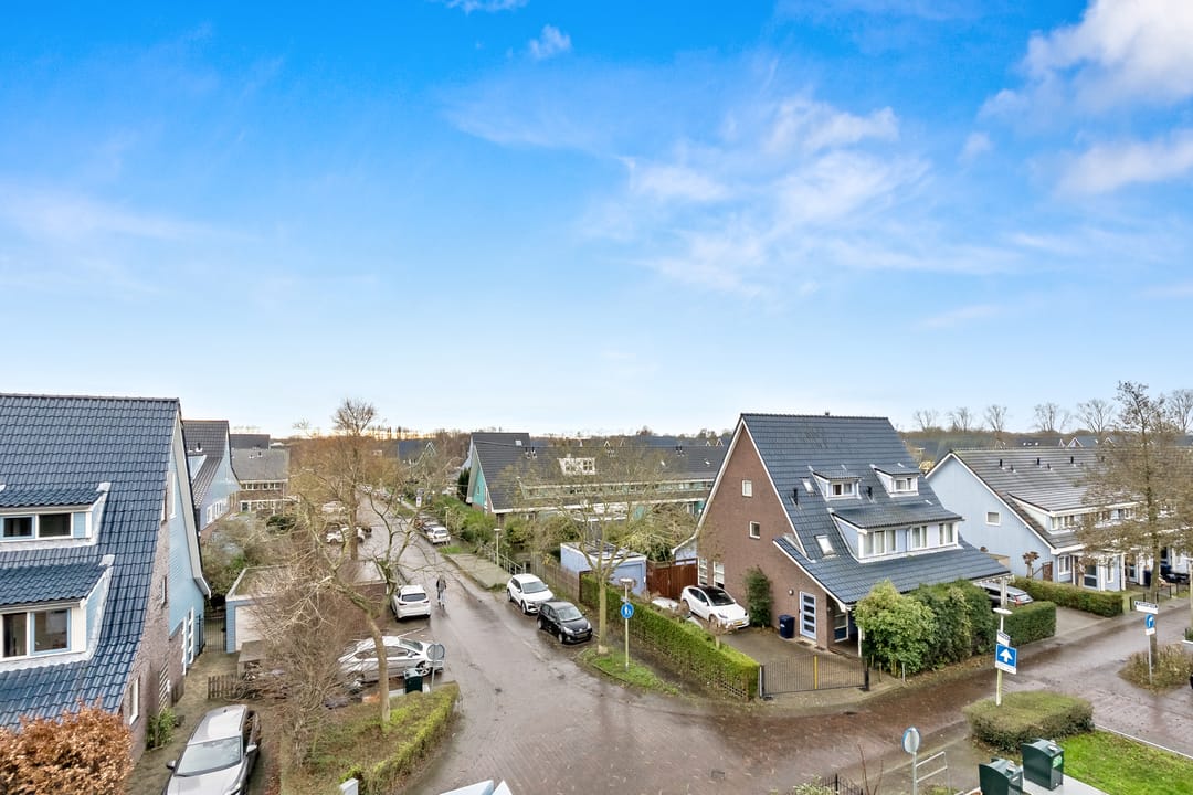 Photo 16 of Cypergras 113