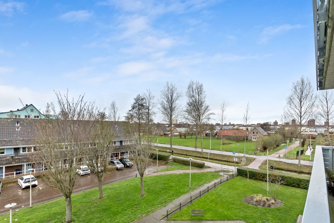 Photo 17 of Cypergras 113