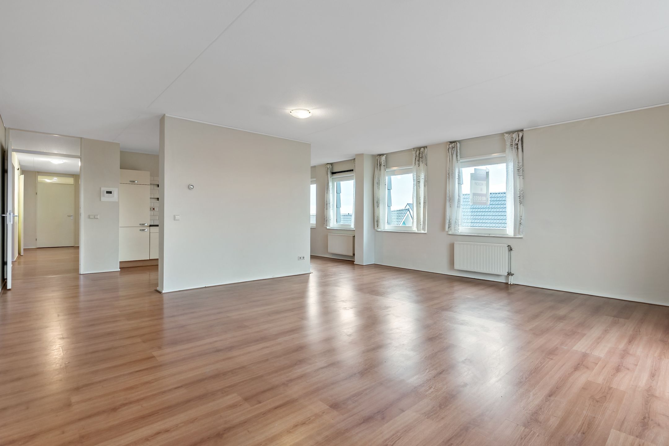 Photo 18 of Cypergras 113