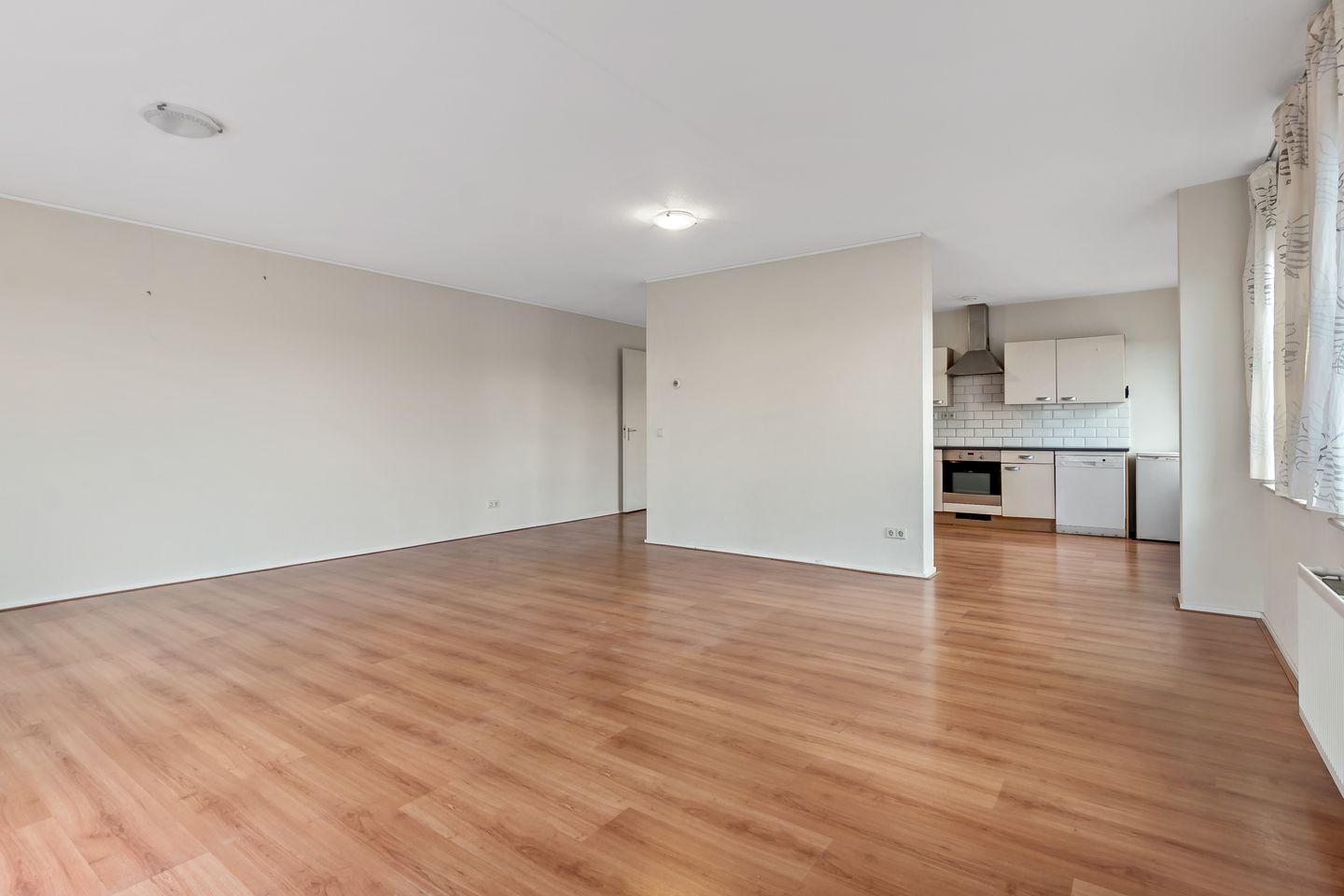 Photo 19 of Cypergras 113