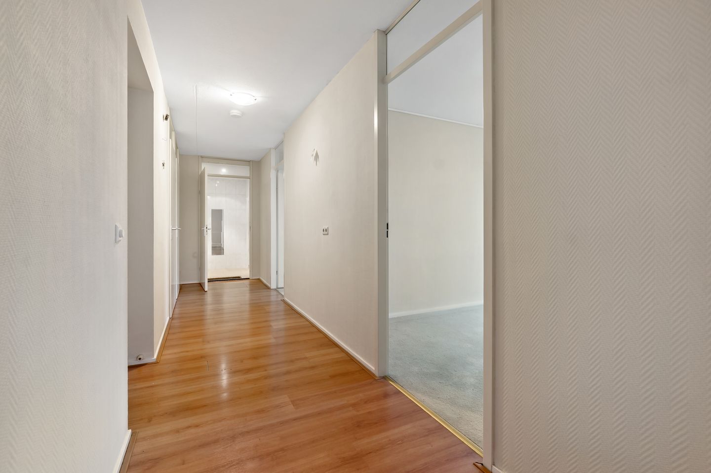 Photo 20 of Cypergras 113