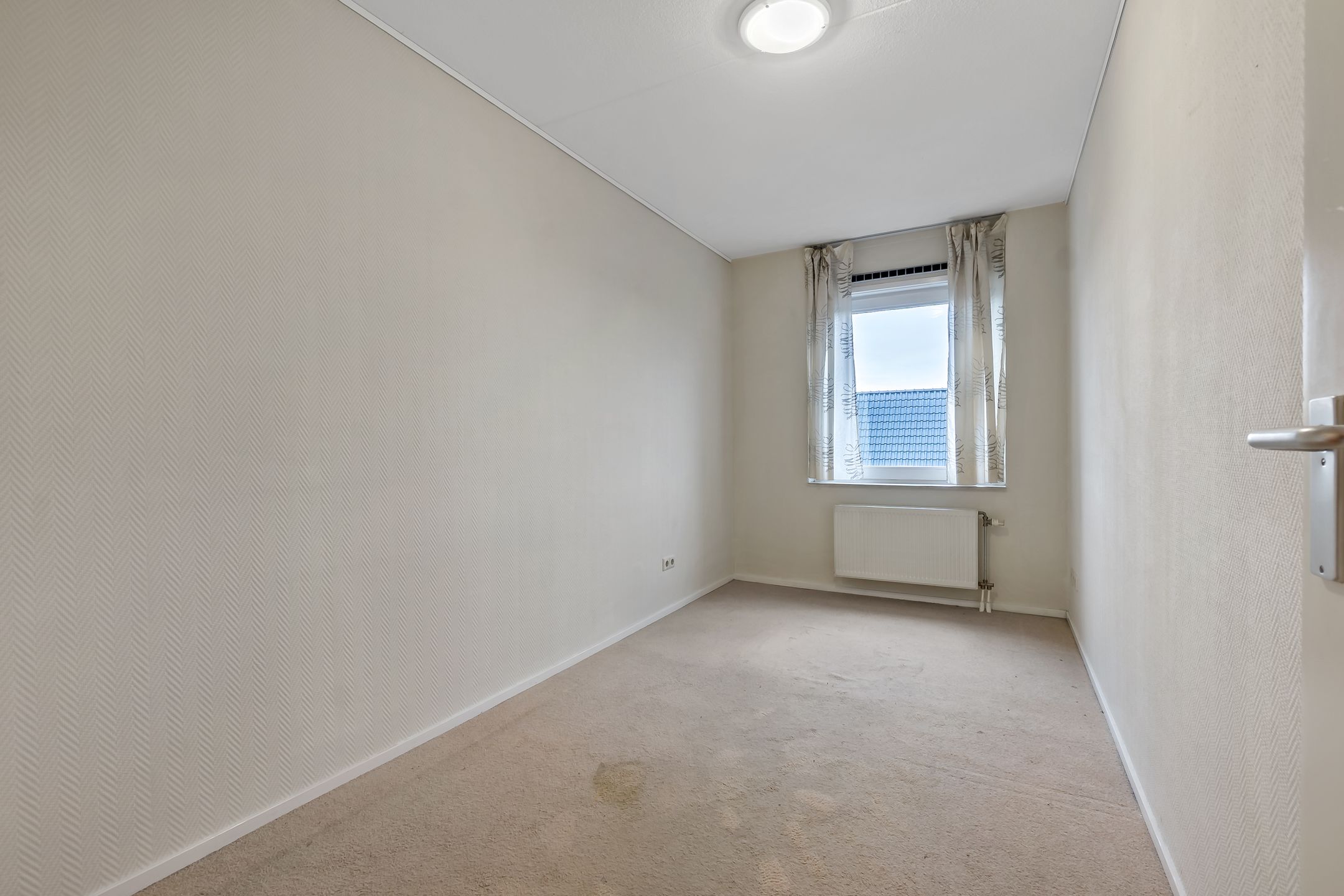 Photo 21 of Cypergras 113