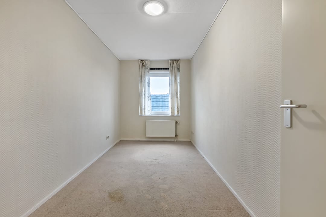 Photo 22 of Cypergras 113