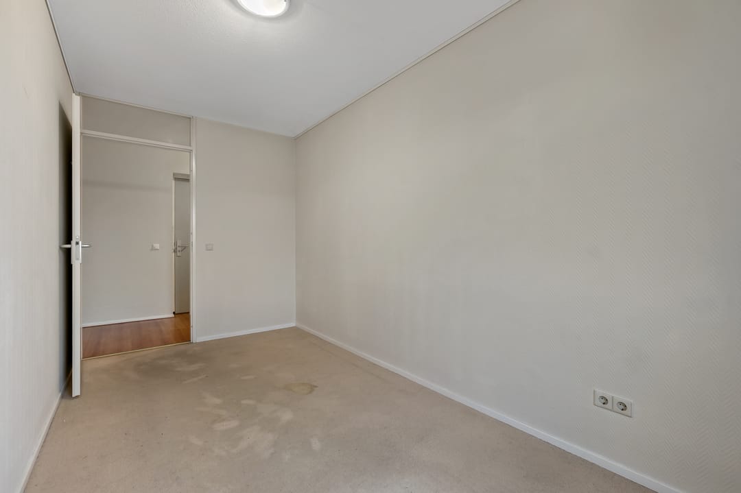 Photo 23 of Cypergras 113