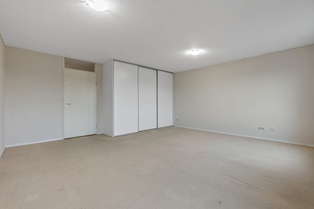 Photo 26 of Cypergras 113