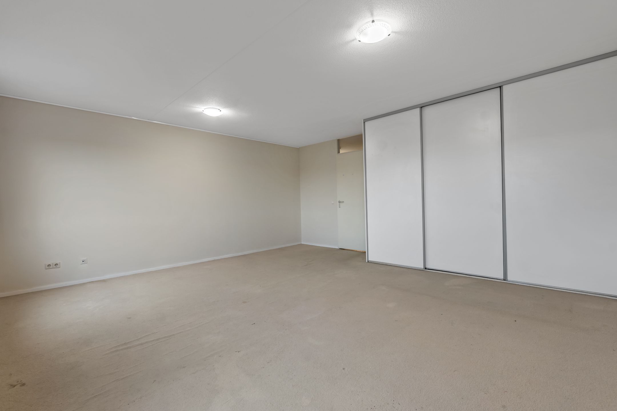 Photo 27 of Cypergras 113