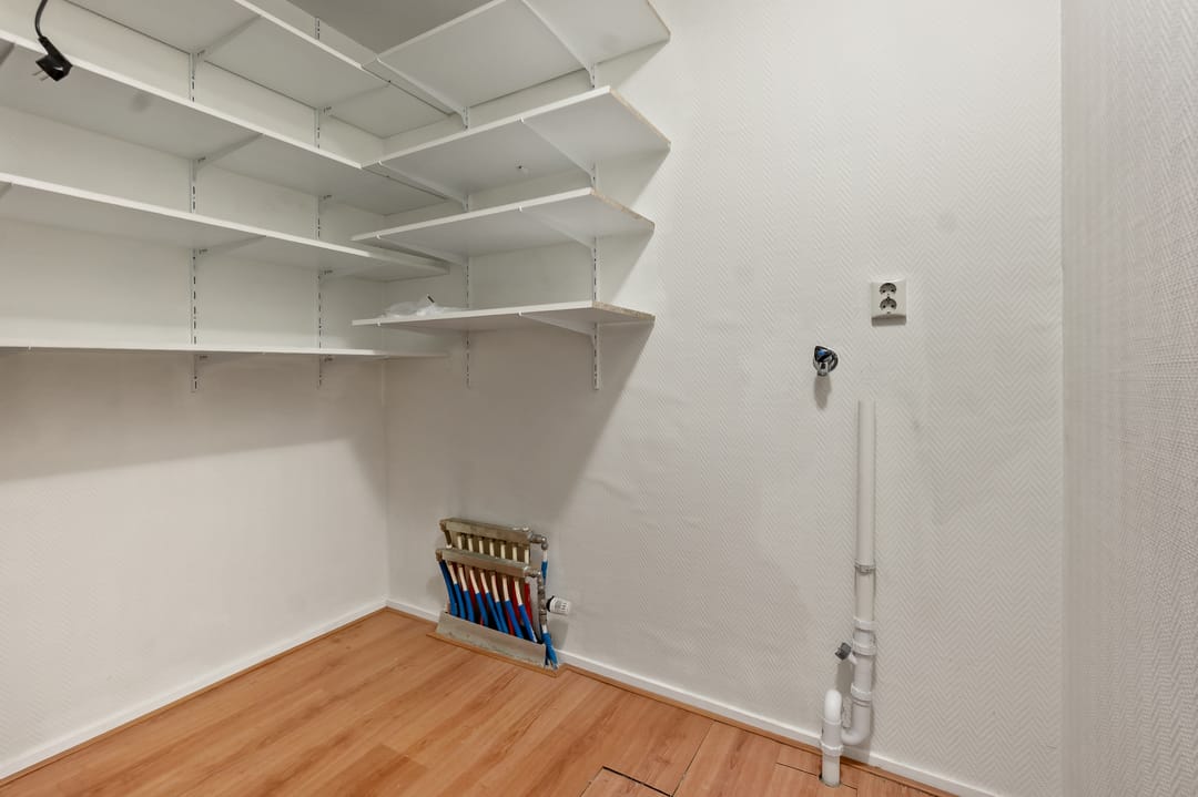 Photo 28 of Cypergras 113