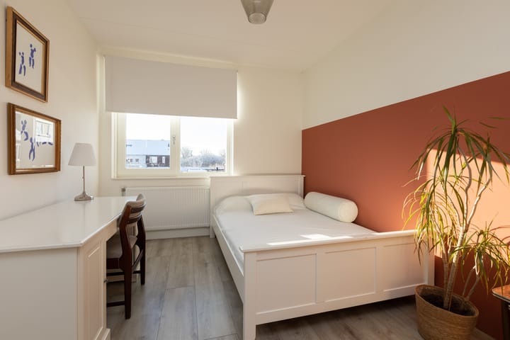 Foto 19 van Evert Egbertsstraat 62