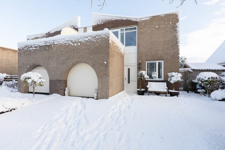 Foto 4 van Gouden Boers 9