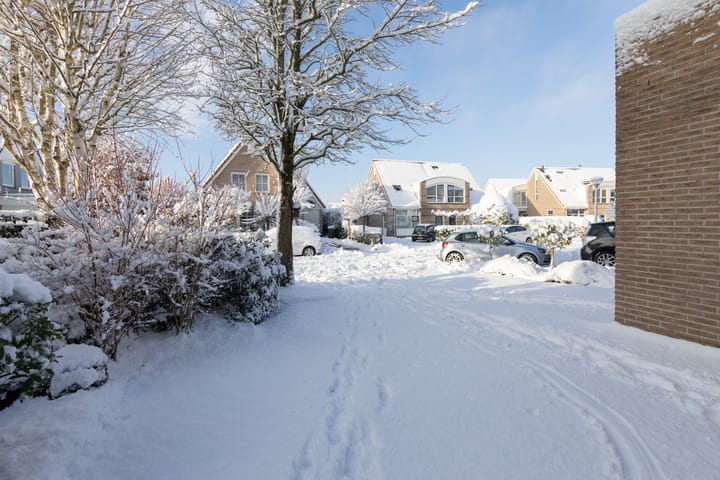 Foto 37 van Gouden Boers 9