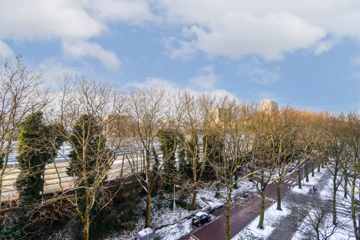 Foto 11 van Nachtwachtlaan 62