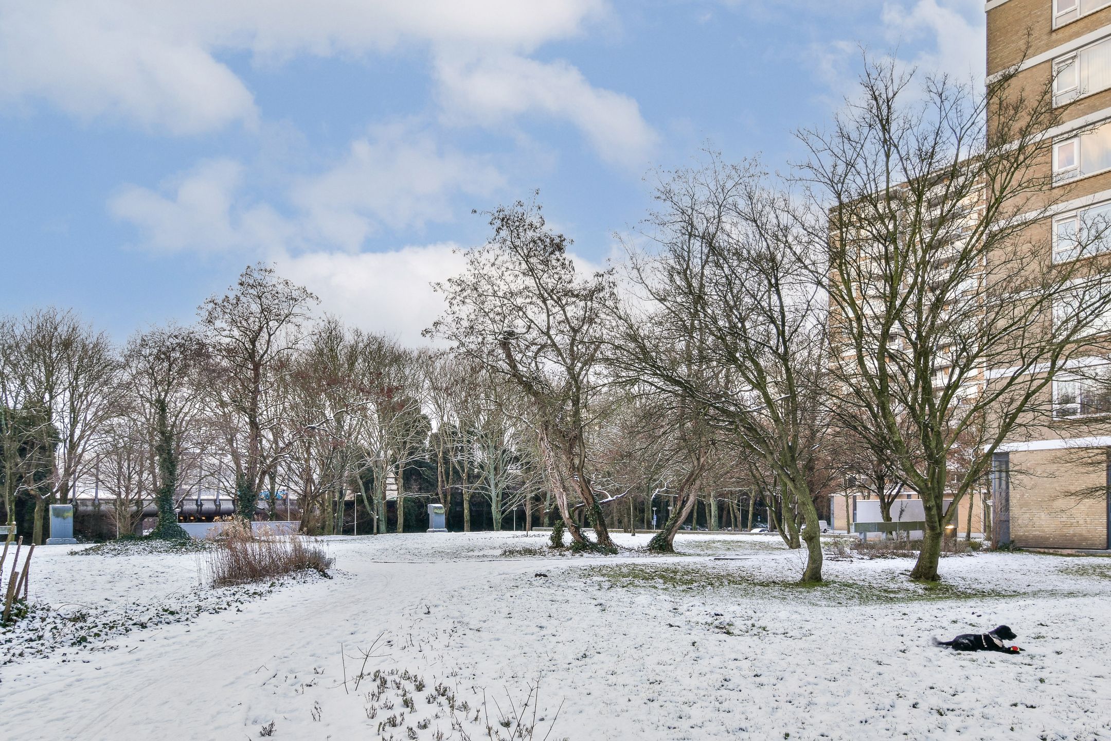 Foto 21 van Nachtwachtlaan 62