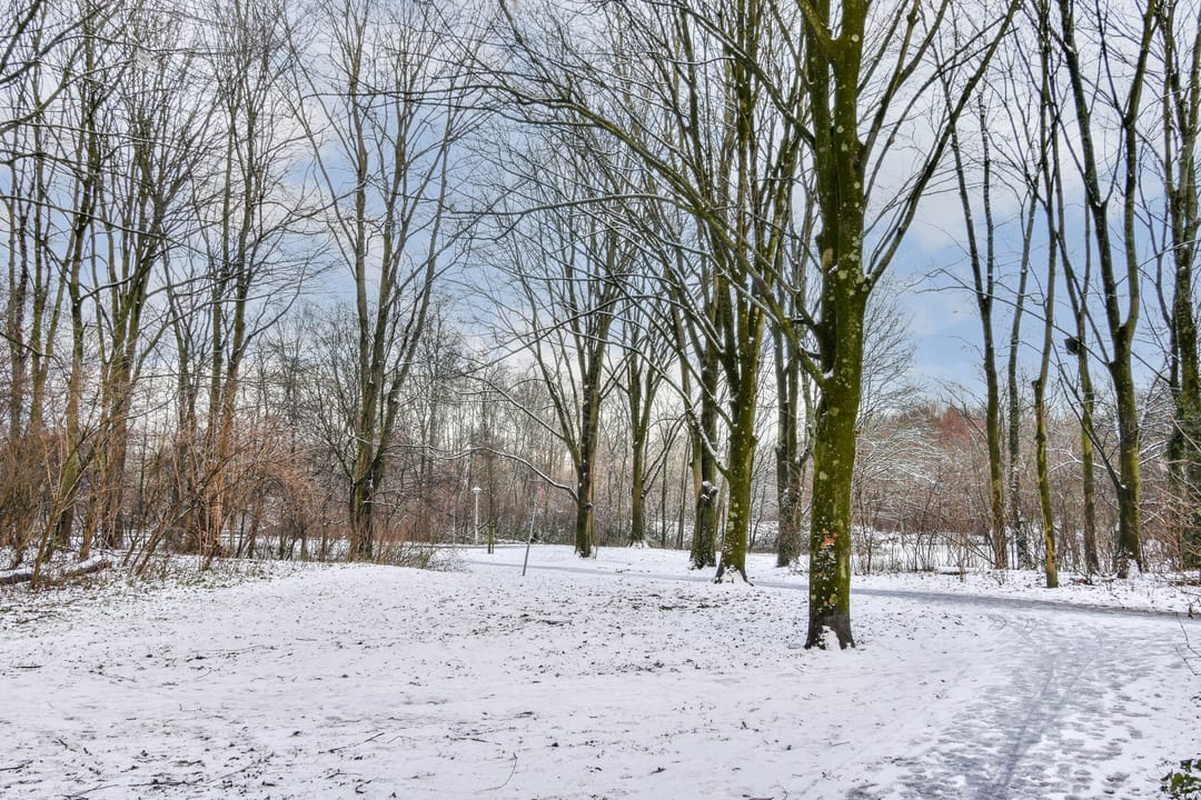 Foto 22 van Nachtwachtlaan 62