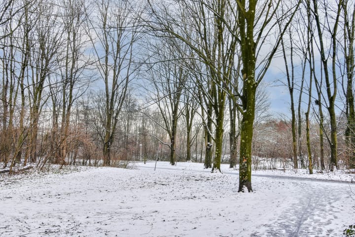 Foto 22 van Nachtwachtlaan 62