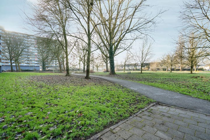 Foto 25 van Leimuidenplaats 206