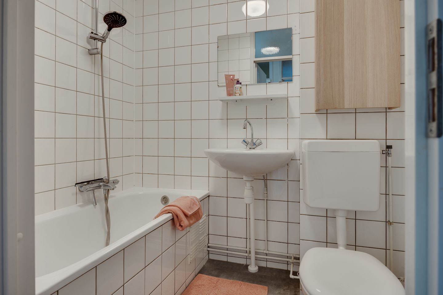 Foto 14 van Rietgors 4