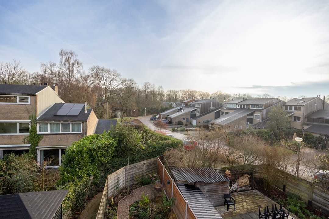 Foto 31 van Rietgors 4