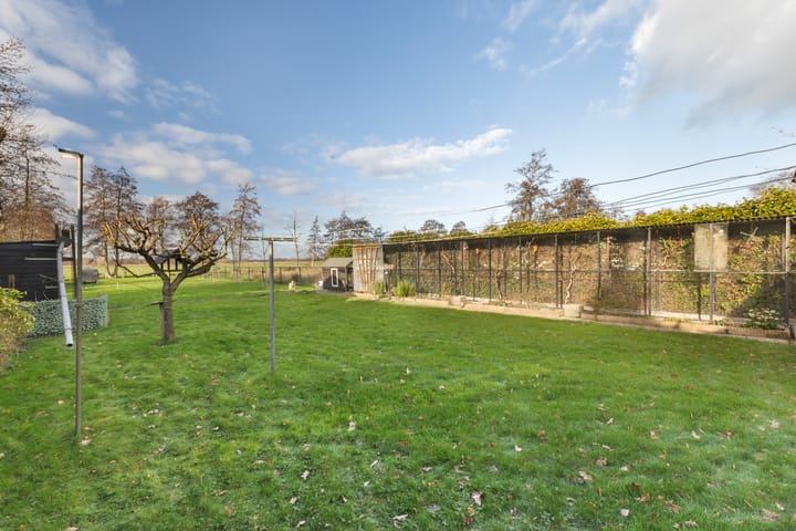 Foto 29 van Miedloane 7