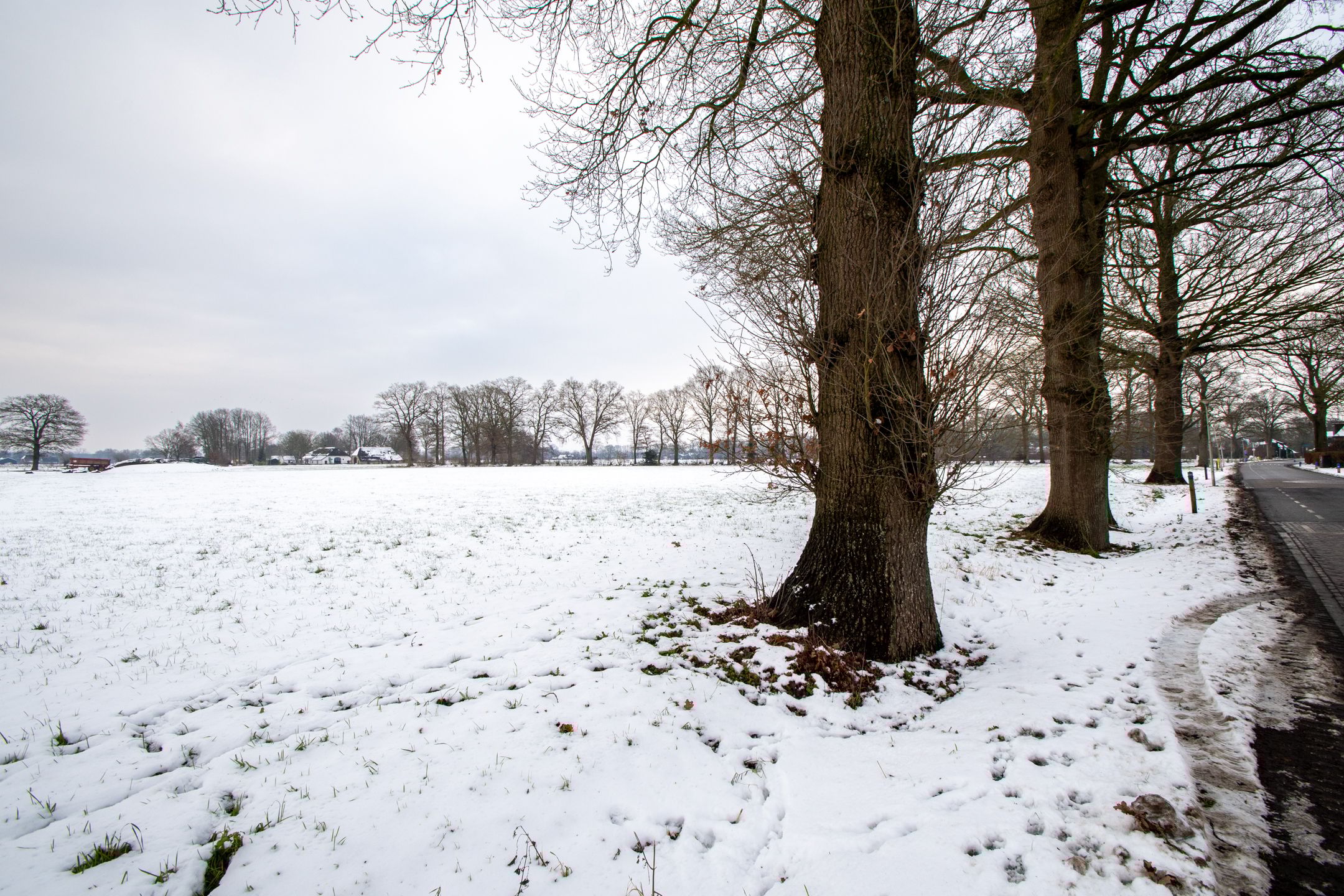Photo 36 of Dijkerhoekseweg 34