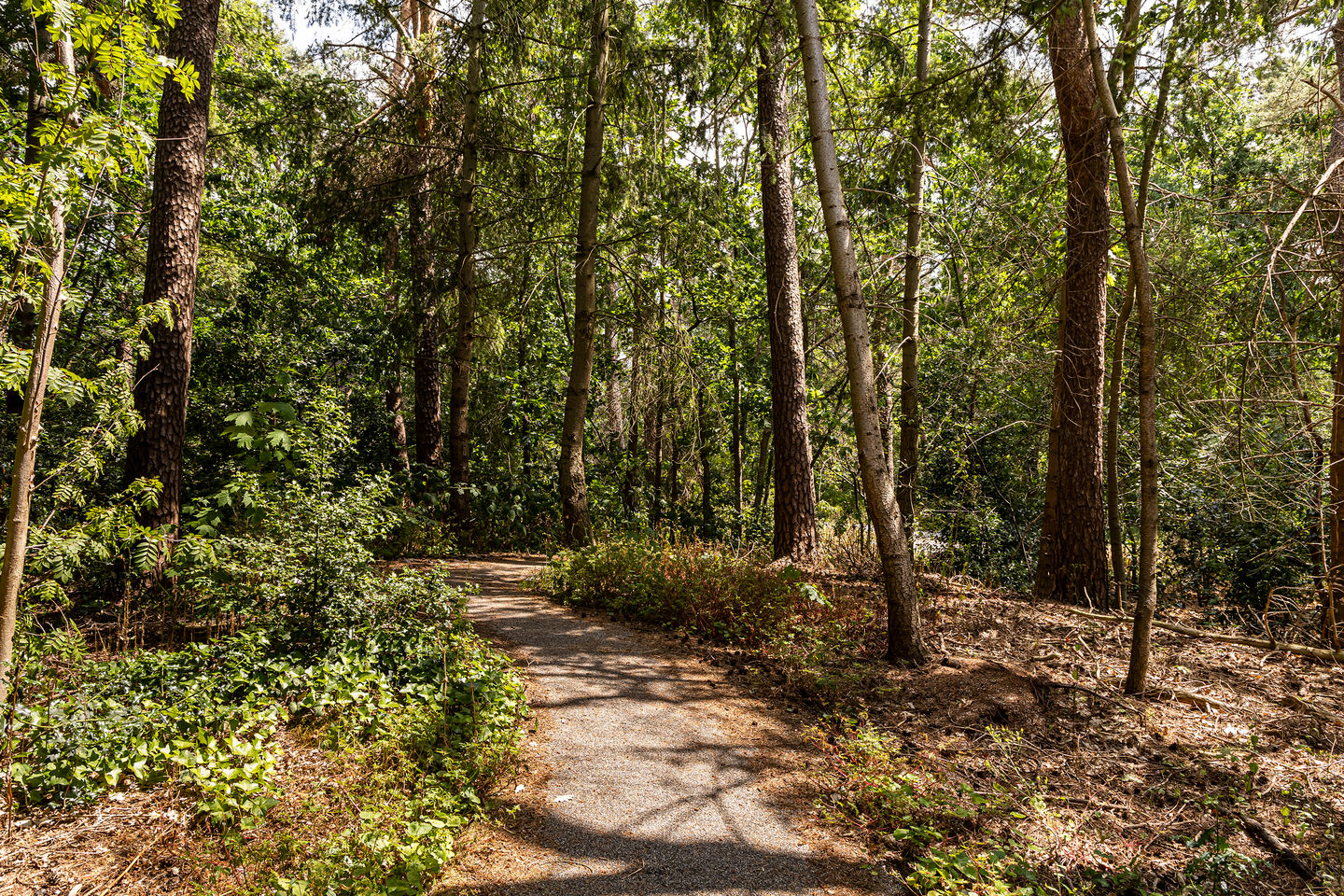 Foto 14 van Graaf Adolflaan 1