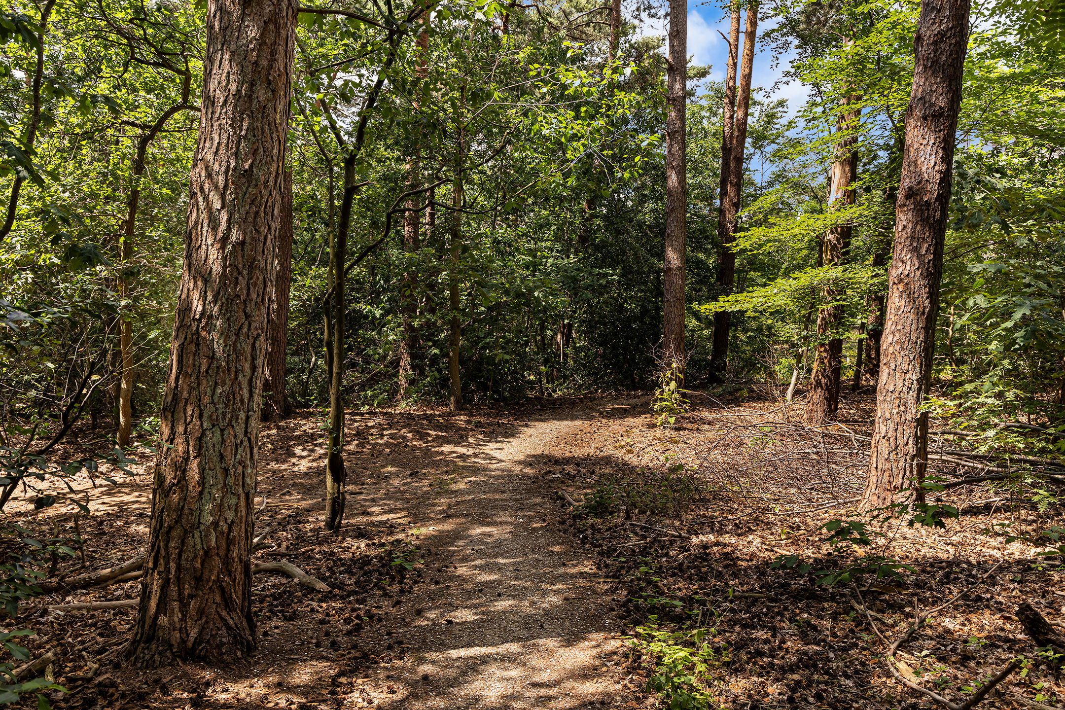 Foto 15 van Graaf Adolflaan 1