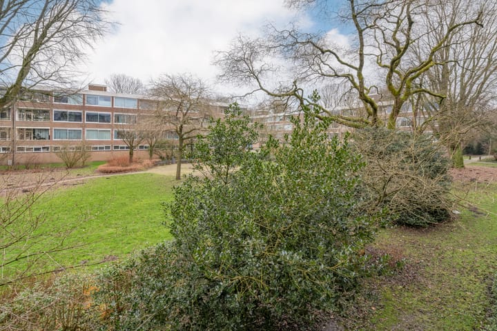 Foto 7 van Kiefskamp 23