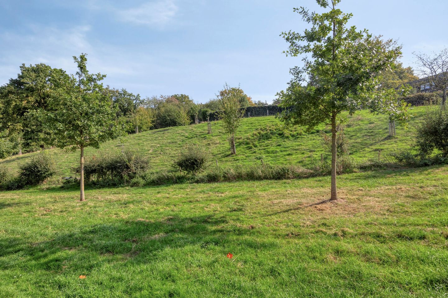 Foto 29 van Hazelaar 11