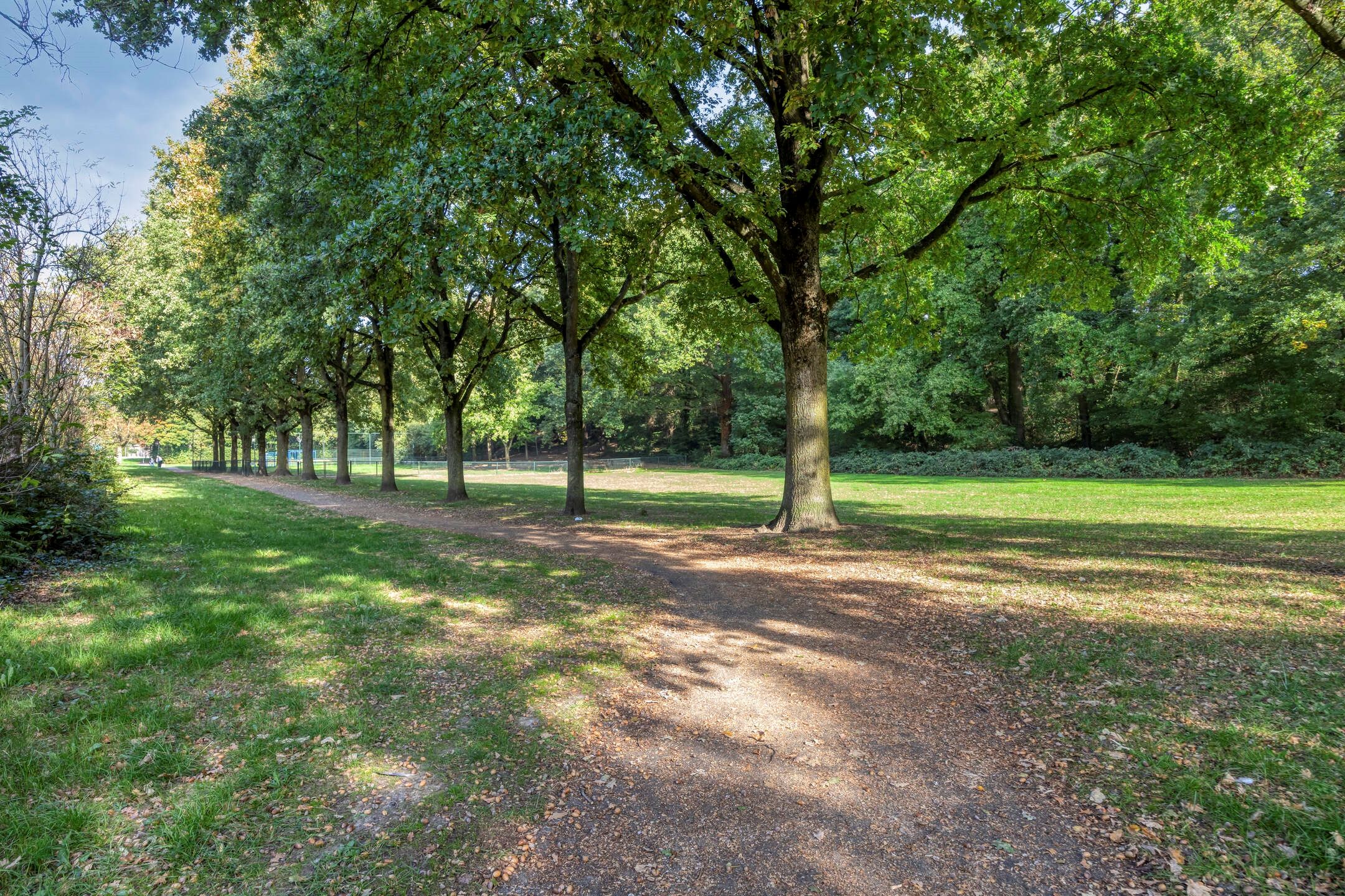 Foto 30 van Hazelaar 11