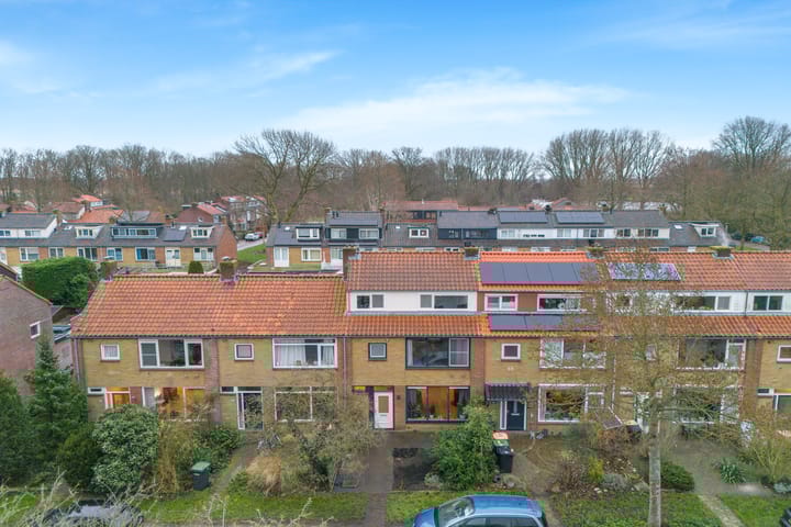 Foto 51 van Groote Olven 16