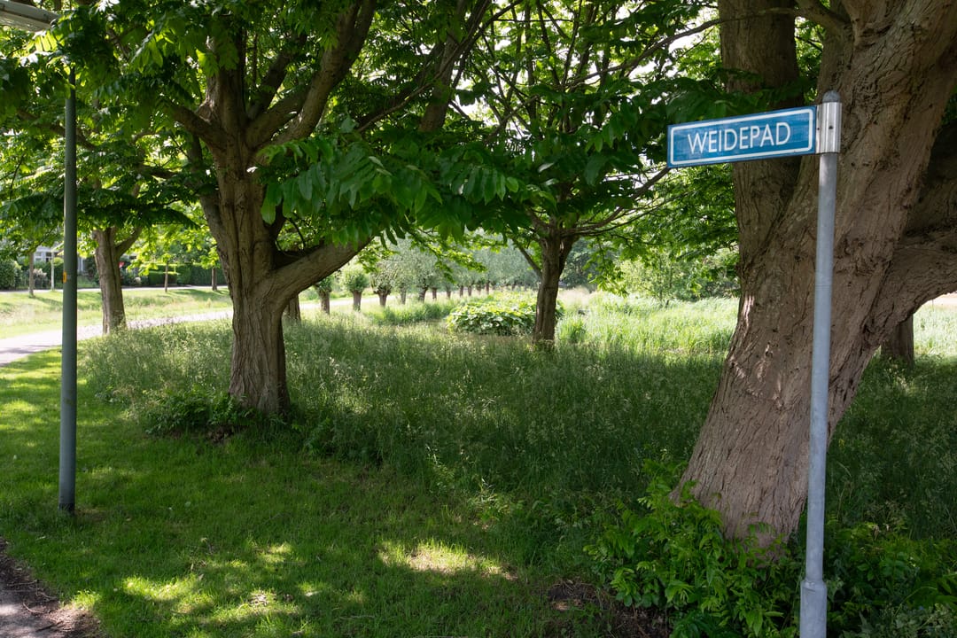 Photo 32 of Van Polanenpark 266