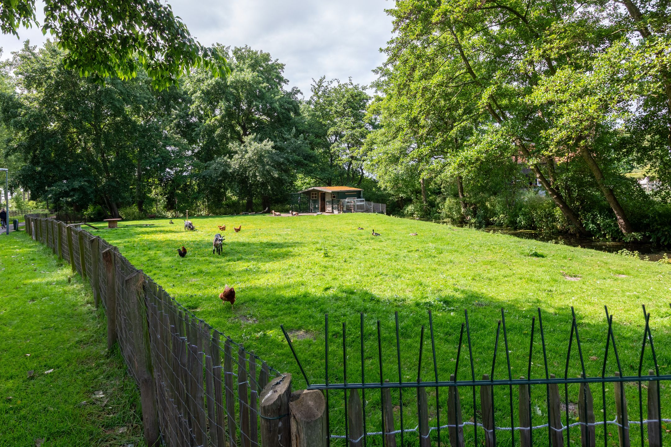 Photo 33 of Van Polanenpark 266