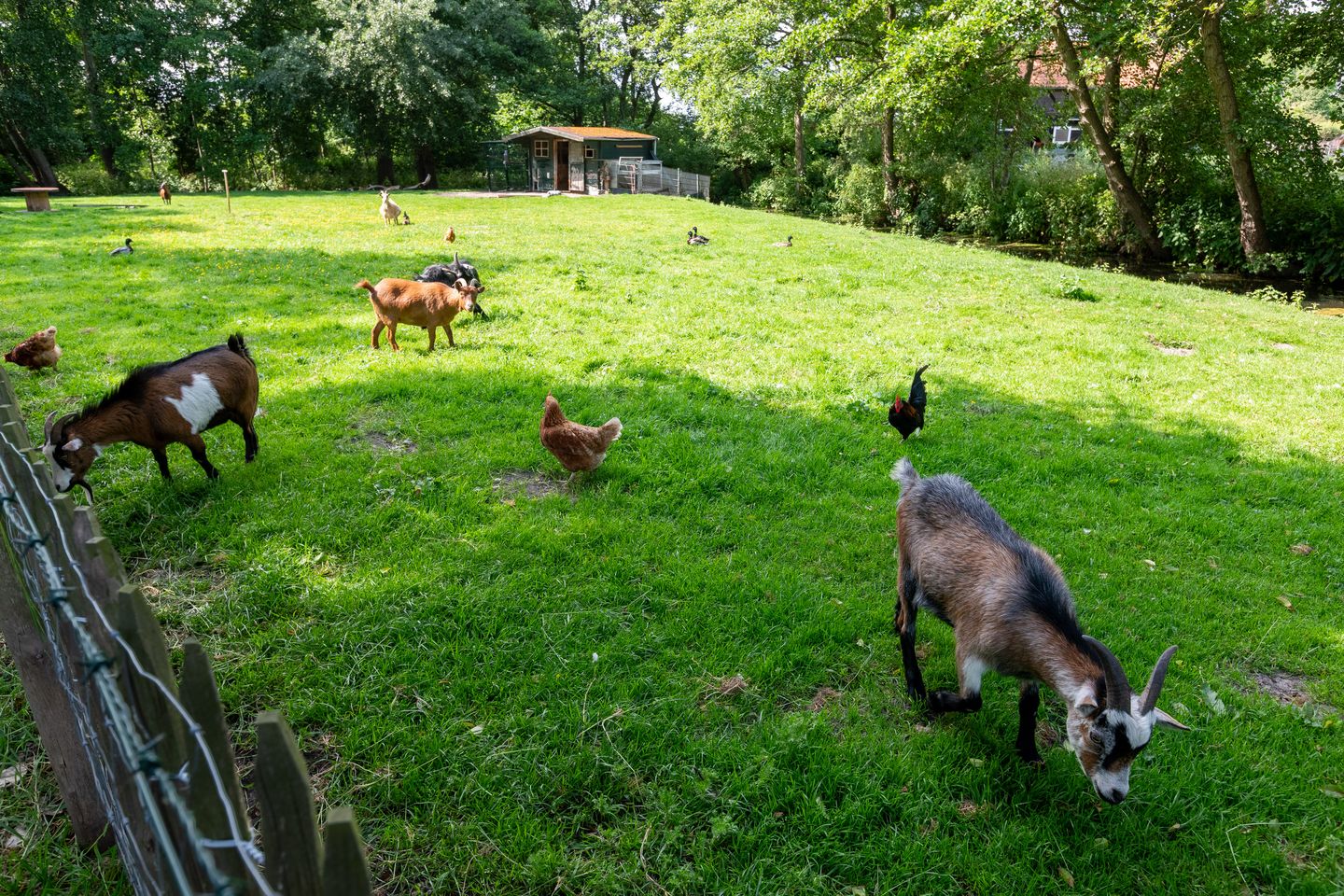 Photo 34 of Van Polanenpark 266