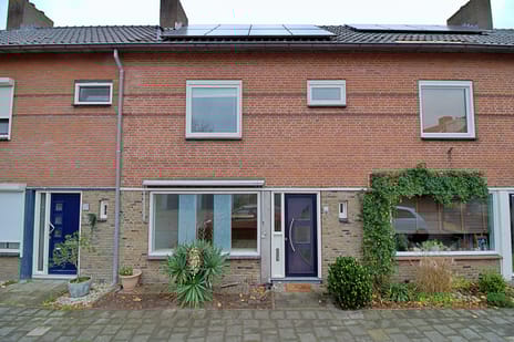 undefined main image