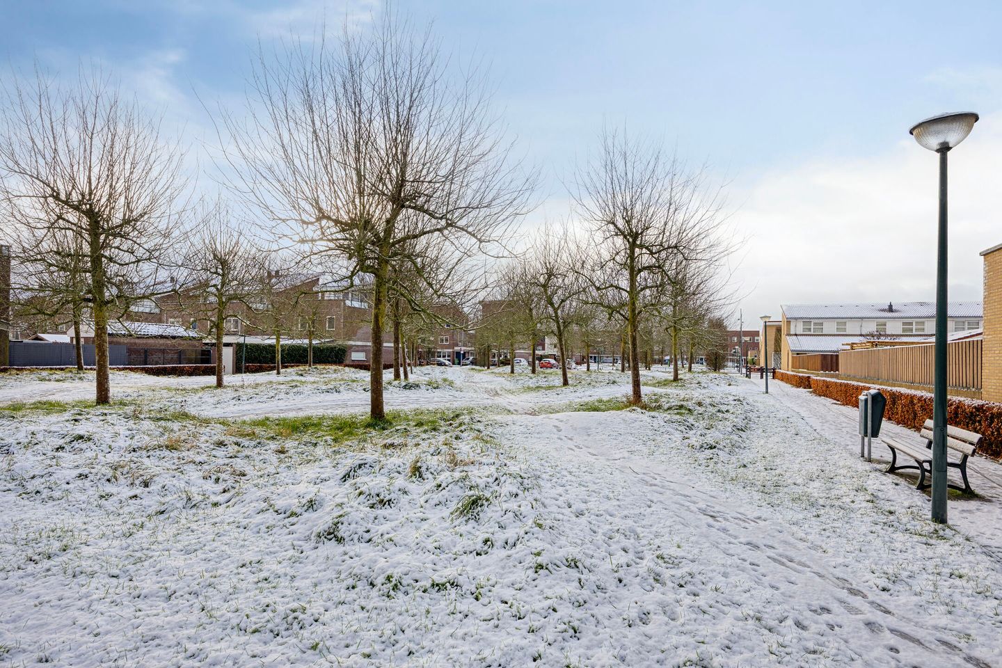 Foto 40 van Sneeuwvlok 17