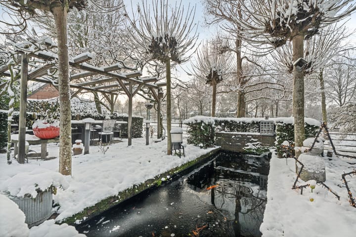 Photo 46 of Torenvalk 61