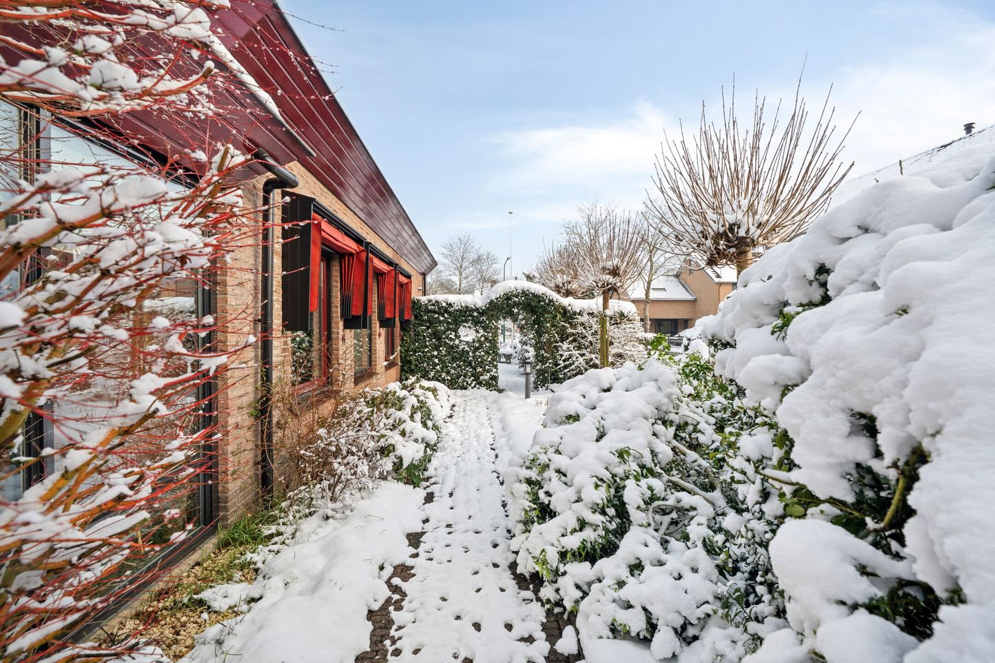 Photo 50 of Torenvalk 61