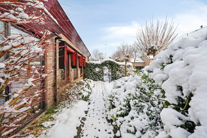 Photo 50 of Torenvalk 61