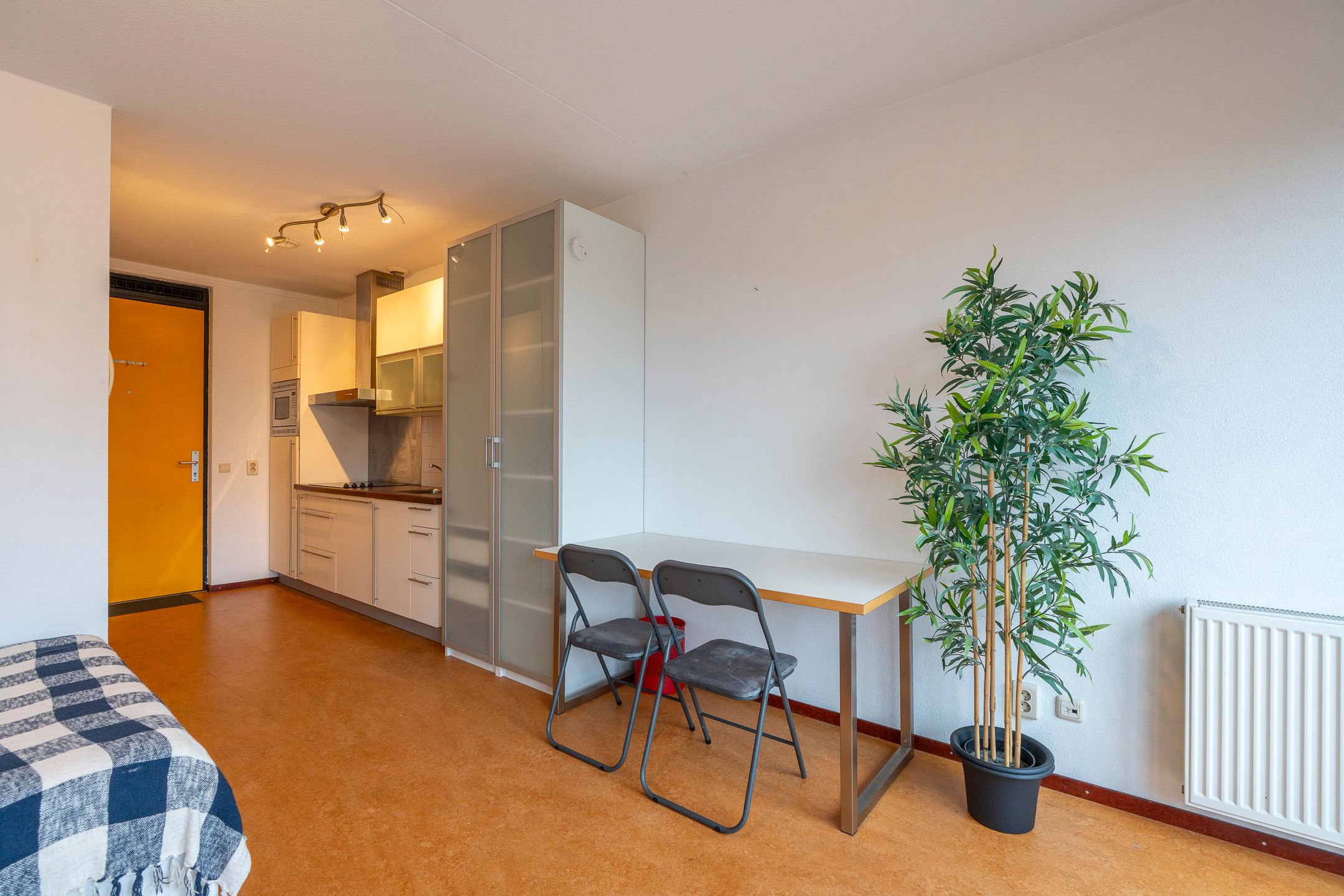 Foto 15 van Ina Boudier-Bakkerlaan 22-C