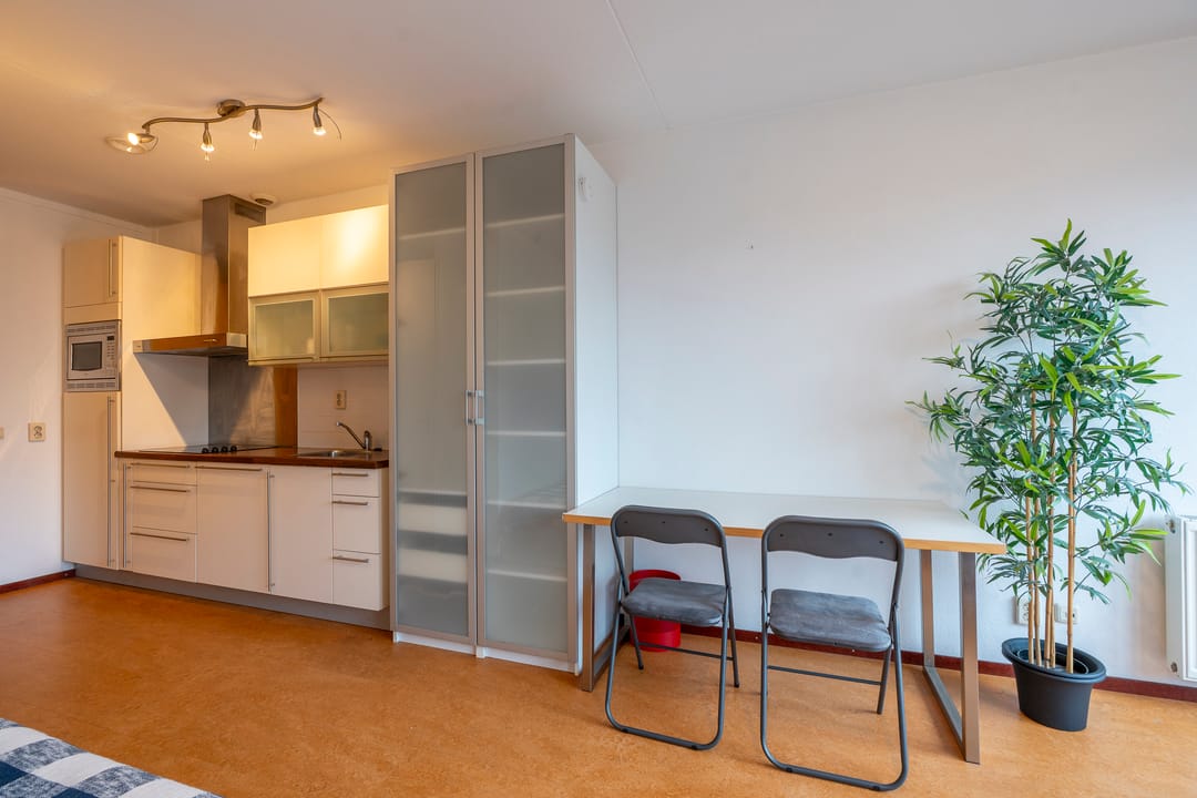 Foto 17 van Ina Boudier-Bakkerlaan 22-C