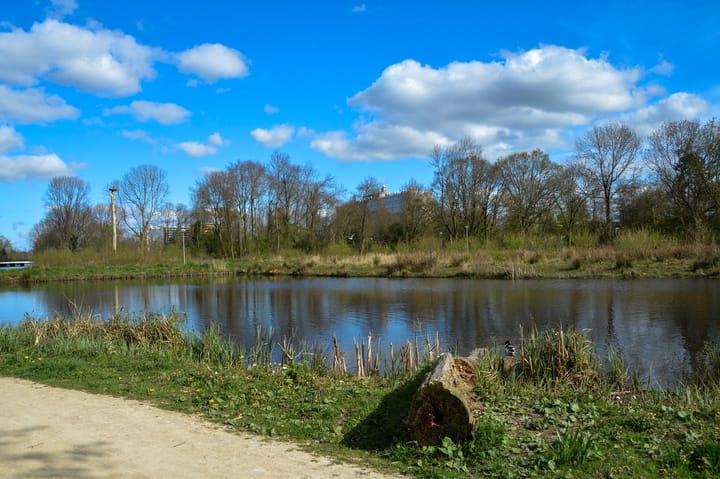 Photo 11 of Bos en Vaartlaan 96