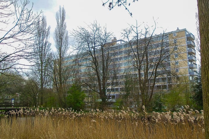 Photo 12 of Bos en Vaartlaan 96