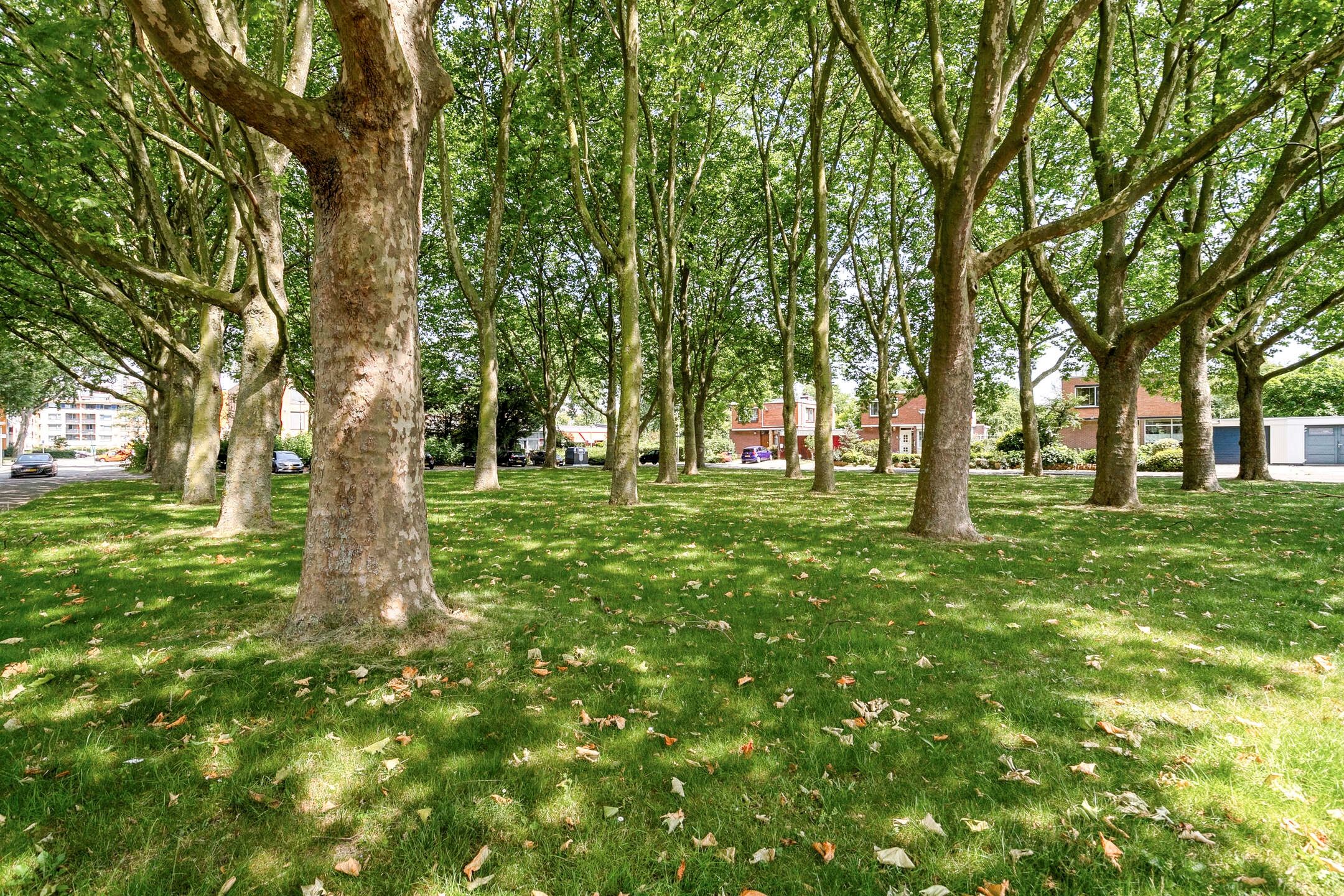 Photo 33 of Van der Leeuwlaan 2