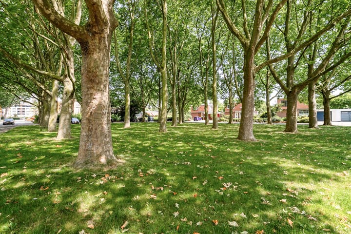 Foto 33 van Van der Leeuwlaan 2